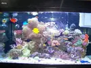 [TodoMarino.com] RED SEA MAX 250 en Malaga de Inma y Eduardo