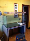 [TodoMarino.com] Mi Proyecto Magnetireef V. 01