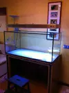 [TodoMarino.com] Mi Proyecto Magnetireef V. 01