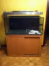 [TodoMarino.com] Mi Proyecto Magnetireef V. 01