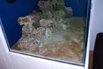 [TodoMarino.com] Plaga Marron
