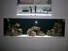 [TodoMarino.com] pantalla de leds para acuario de 300 litros