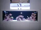[TodoMarino.com] pantalla de leds para acuario de 300 litros
