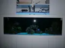 [TodoMarino.com] pantalla de leds para acuario de 300 litros