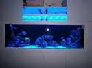 [TodoMarino.com] pantalla de leds para acuario de 300 litros