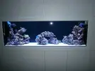 [TodoMarino.com] pantalla de leds para acuario de 300 litros