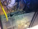 [TodoMarino.com] Mi nuevo 300 litros + sump