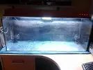 [TodoMarino.com] Proyecto 120L empezando de nuevo!
