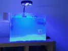 [TodoMarino.com] Consejos roca y ciclado con marinepure