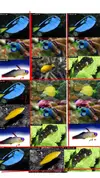 [TodoMarino.com] Elección peces