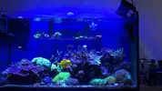 [TodoMarino.com] Peces madrid - Madrid. Moratalaz.