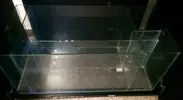 [TodoMarino.com] Proyecto acuario  TMC signature 200ltrs + 100 sump consejos para intentar hacerlo bien...