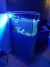 [TodoMarino.com] Acuario sirocco completo - Gandia, valencia