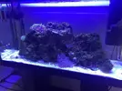 [TodoMarino.com] Acuario 80L curius14