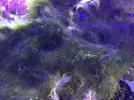 [TodoMarino.com] Acuario 80L curius14