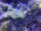 [TodoMarino.com] Acuario 80L curius14