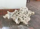 [TodoMarino.com] Proyecto 1000L+200L