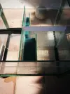 [TodoMarino.com] Esquejódromo o acuario bajo con sump y mesa - Málaga