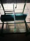 [TodoMarino.com] Esquejódromo o acuario bajo con sump y mesa - Málaga