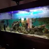 [TodoMarino.com] Vendo por desmonte - Barcelona