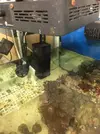 [TodoMarino.com] REBAJA Acuario 90 litros completo 130€