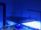 [TodoMarino.com] Pantalla T5 Aqualight F600 6x24w - Granada