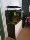 [TodoMarino.com] Acuario Marino - Valdemoro (madrid)