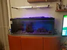 [TodoMarino.com] Vendo acuario marino completo 3años de uso - El Vendrell (Tarragona)