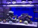 [TodoMarino.com] Configuración LED Coral Box Moon de Fish-Street.com