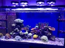 [TodoMarino.com] Configuración LED Coral Box Moon de Fish-Street.com