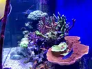 [TodoMarino.com] Configuración LED Coral Box Moon de Fish-Street.com