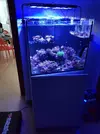 [TodoMarino.com] Sondeo venta red sea 170 - Valencia