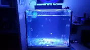 [TodoMarino.com] Acuario casi cubo de 130l.(sant pere ribes) - Sant pere de ribes.barcelona