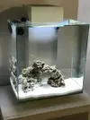 [TodoMarino.com] Saludos desde Barcelona con Nano Marino Fluval Edge 2 46 litros + Sump