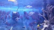 [TodoMarino.com] Vendo peces. Alcalá de Henares. - Alcalá de Henares
