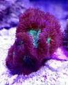 [TodoMarino.com] Desmonte acuario 195€