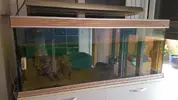 [TodoMarino.com] ABANDONO DE HOBBY, URGE MADRID - MADRID
