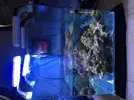[TodoMarino.com] acuario completo hydra - Granollers