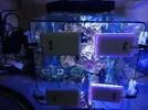 [TodoMarino.com] acuario completo hydra - Granollers