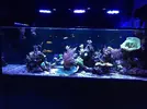 [TodoMarino.com] acuario 1000 litros - La Línea de la Concepción