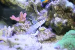 [TodoMarino.com] Reef 120L