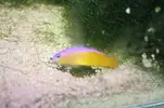 [TodoMarino.com] Reef 120L