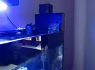 [TodoMarino.com] eskimmer deltec mce 601 !!! Vendido !!