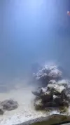 [TodoMarino.com] Desesperado por agua turbia
