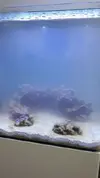 [TodoMarino.com] Desesperado por agua turbia