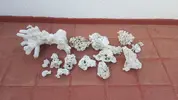 [TodoMarino.com] Vendo roca muerta (Gandia-Valencia) - Gandia-Valencia
