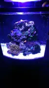 [TodoMarino.com] Mi nuevo acuario