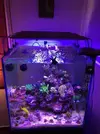 [TodoMarino.com] Conjunto Blau de 238 litros cubo mueble y sump - Vendido a
