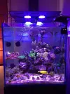 [TodoMarino.com] Conjunto Blau de 238 litros cubo mueble y sump - Vendido a