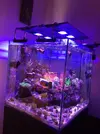 [TodoMarino.com] Conjunto Blau de 238 litros cubo mueble y sump - Vendido a